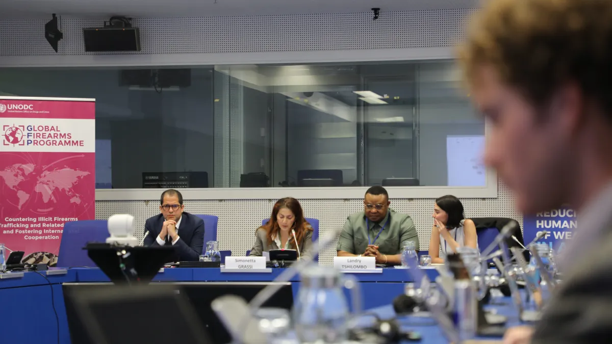 SALW Side Event