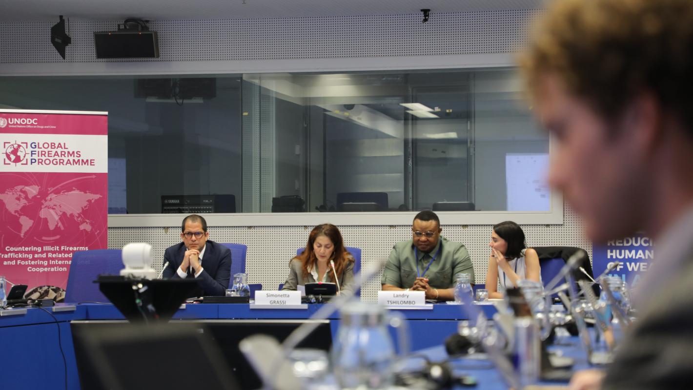SALW Side Event 