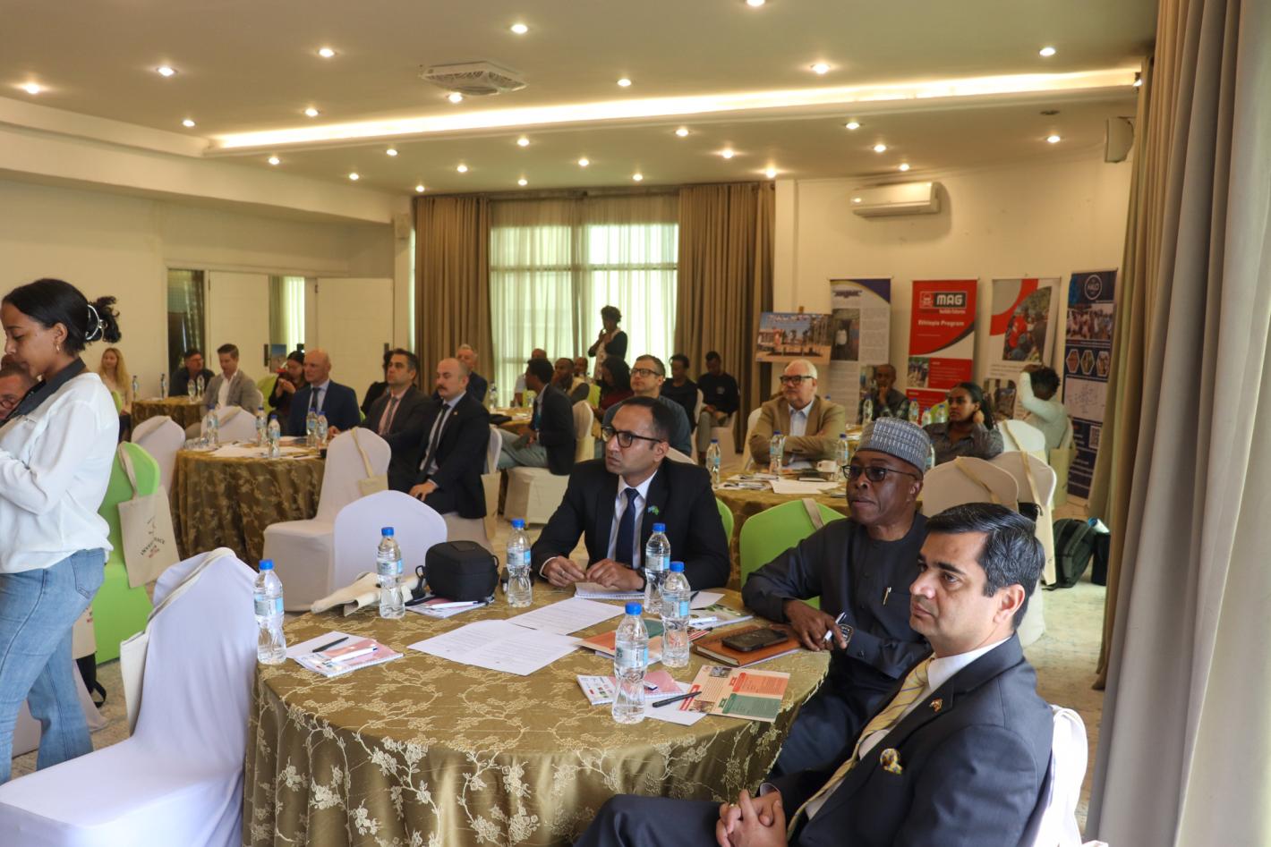 UNOAU participates in commemoration of International Mine Action Awareness and Assistance Day in Ethiopia