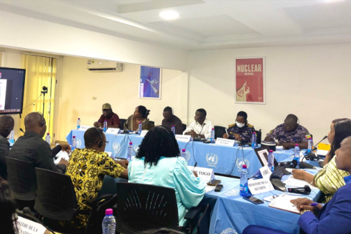 UNOAU participates in webinar on the gendered impact of small arms and light weapons in Africa