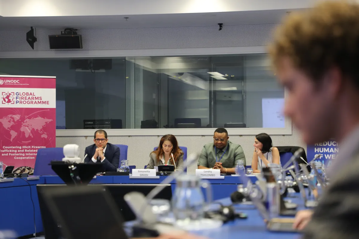 SALW Side Event